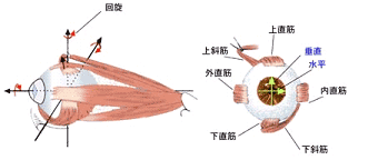 p17t2_pic1.gif