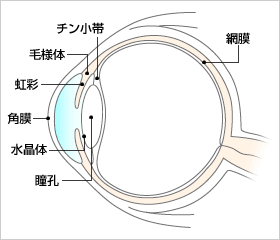 眼あ.gif